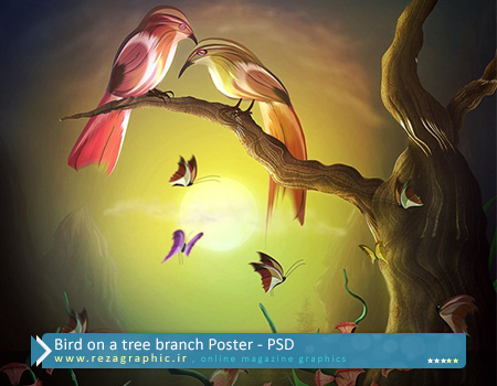 طرح لایه باز پوستر پرنده روی شاخه درخت
