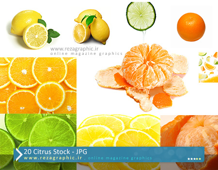 ۲۰ Citrus Stock ( www.rezagraphic.ir )