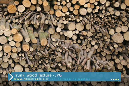 Trunk, wood Texture ( www.rezagraphic.ir )