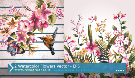 ۲ Watercolor Flowers Vector ( www.rezagraphic.ir )