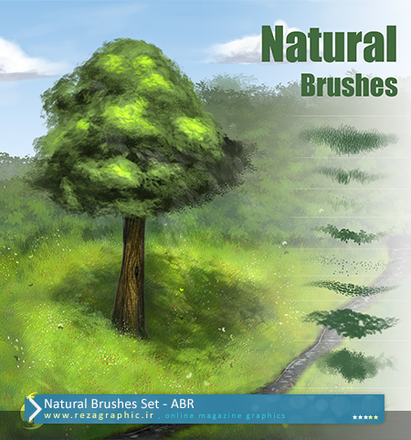 Natural Brushes Set ( www.rezagraphic.ir )