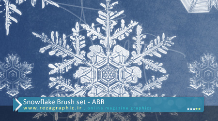 Snowflake Brush set ( www.rezagraphic.ir )