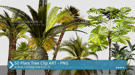 ۵۰ Plam Tree Clip ART ( www.rezagraphic.ir )