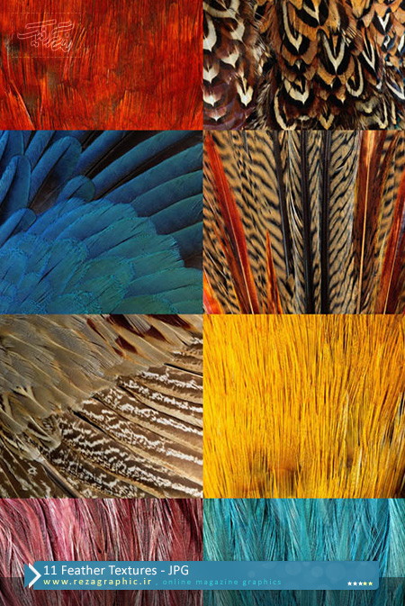۱۱ Feather Textures ( www.rezagraphic.ir )