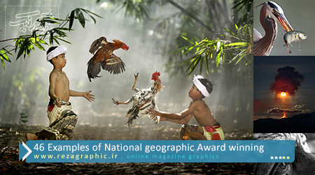 Examples of National geographic Award winning ( www.rezagraphic.ir )