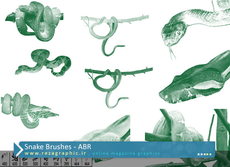 Snake Brushes ( www.rezagraphic.ir )