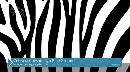 Zebra stripes design BackGround ( www.rezagraphic.ir )