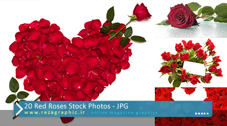 ۲۰ Red Roses Stock Photos ( www.rezagraphic.ir )