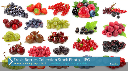 Fresh Berries Collection Stock Photo ( www.rezagraphic.ir )