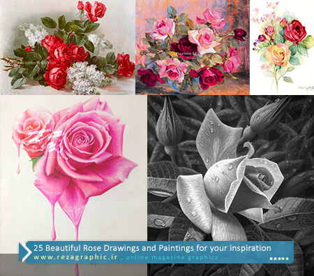 ۲۵ Beautiful Rose Drawings and Paintings for your inspiration ( www.rezagraphic.ir )