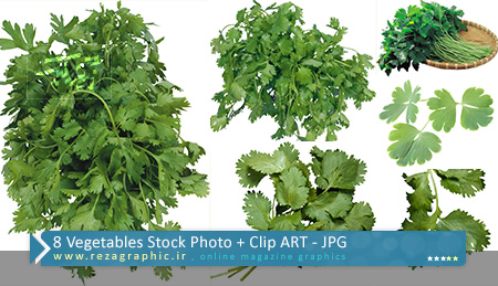 ۸ Vegetables Stock Photo + Clip ART ( www.rezagraphic.ir )