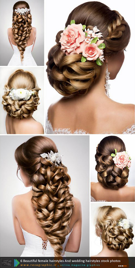 ۶ Beautiful female hairstyles, wedding hairstyles stock photos ( www.rezagraphic.ir )