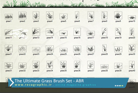 The Ultimate Grass Brush Set ( www.rezagraphic.ir )