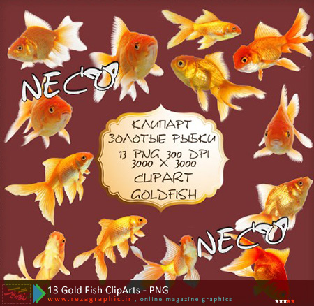 ۱۳ Gold Fish ClipArts ( www.rezagraphic.ir )