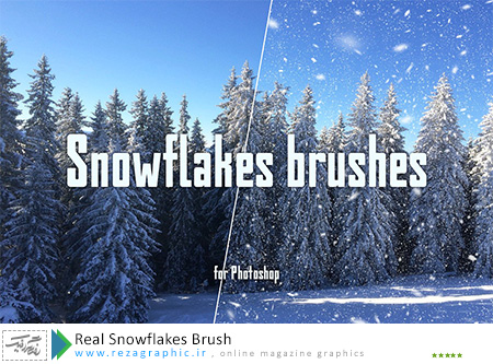 Real Snowflakes Brush ( www.rezagraphic.ir )