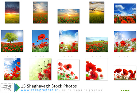 ۱۵ Shaghayegh Stock Photos ( www.rezagraphic.ir )