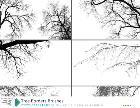 Tree Borders Brushes ( www.rezagraphic.ir )