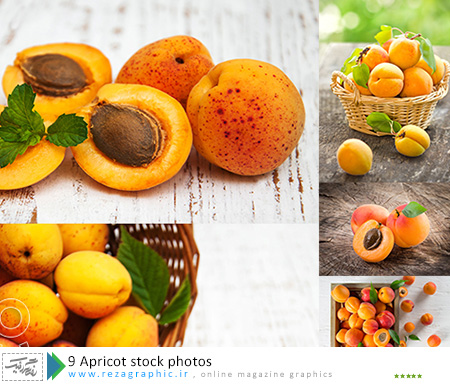 ۹ Apricot stock photos ( www.rezagraphic.ir )