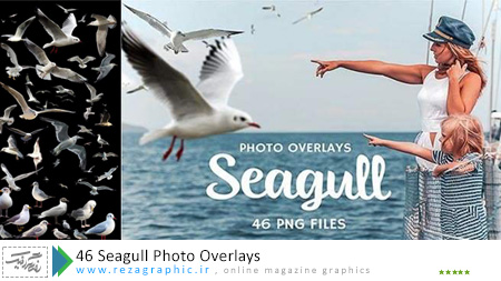 ۴۶ Seagull Photo Overlays ( www.rezagraphic.ir )