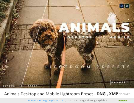 مجموعه پریست لایت روم حیوانات – Animals Desktop and Mobile Lightroom Preset