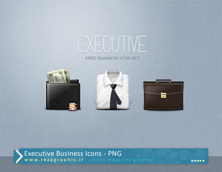 مجموعه آیکون اداری – Executive Business Icons | رضاگرافیک